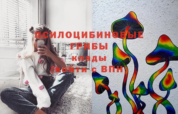 стафф Яранск