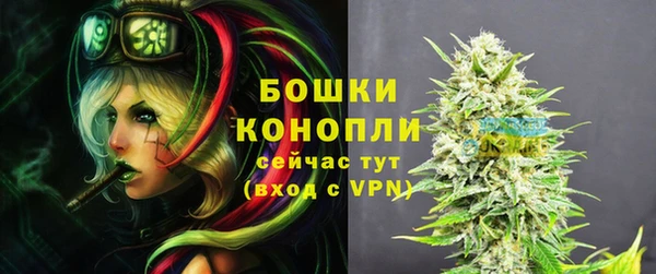 твердый Щучье