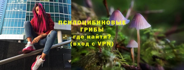 марки lsd Щигры