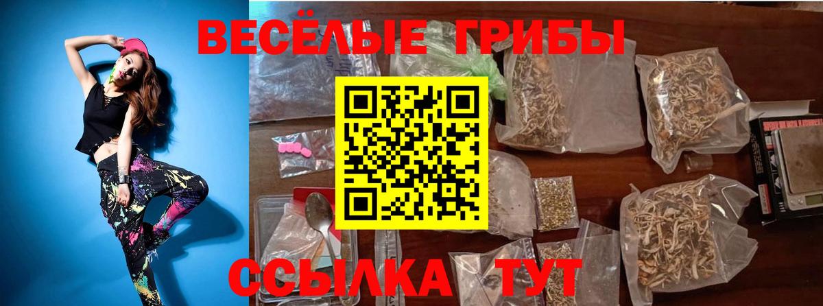 Галлюциногенные грибы Magic Shrooms  Вход с VPN  Псилоцибиновые грибы MAGIC MUSHROOMS  Красногорск 