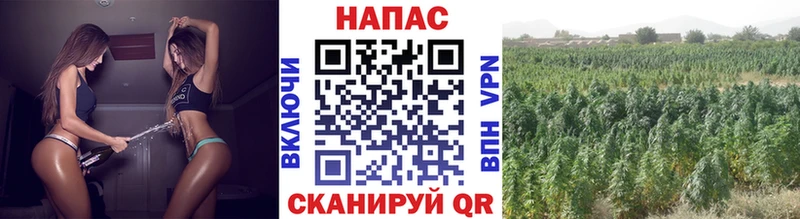 наркотики  Красногорск  Каннабис THC 21% 